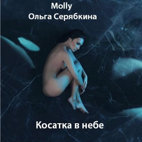 Ольга Серябкина - Косатка в небе (2019) Постер к Ольга Серябкина - Косатка в небе (2019)