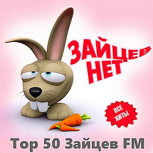Зайцев FM: Тор 50. Ноябрь (2019) Постер к Зайцев FM: Тор 50. Ноябрь (2019)