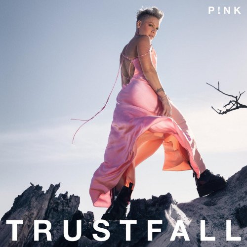 P!nk - TRUSTFALL (2023) Постер к P!nk - TRUSTFALL (2023)