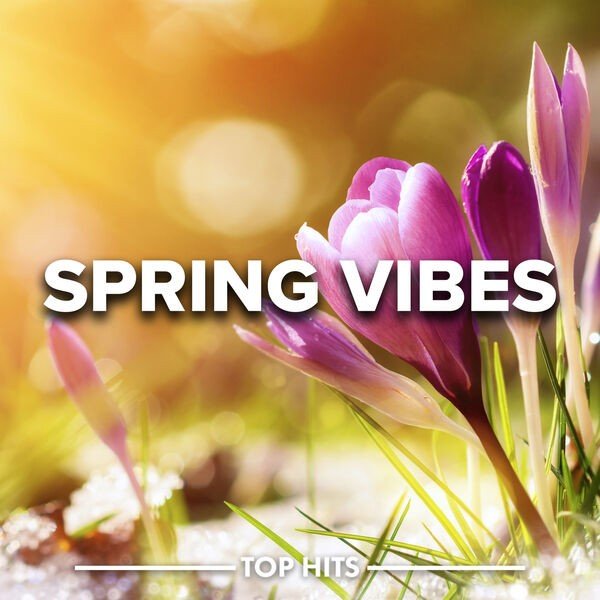 Spring Vibes (2023) Постер к Spring Vibes (2023)