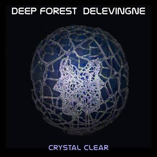 Постер к Deep Forest, Olivier Delevingne - Crystal Clear [24Bit, Hi-Res] (2024) FLAC