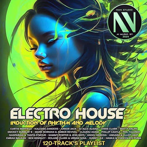 Постер к Electro House Induction Of Rhythms and Melodi (2024)